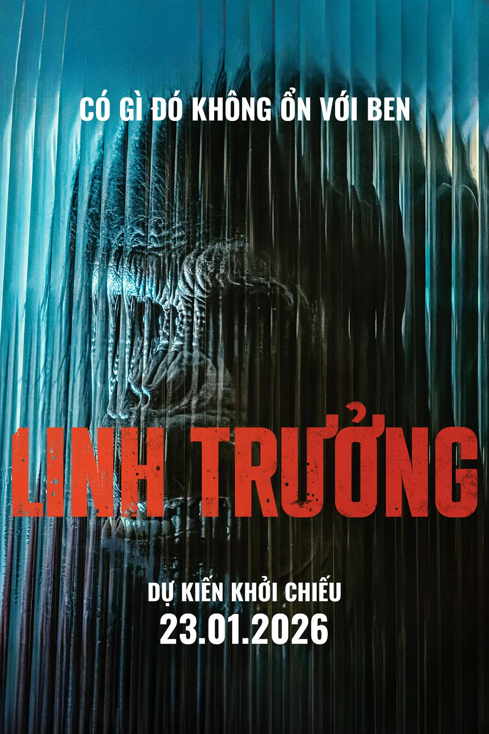 Linh Trưởng
