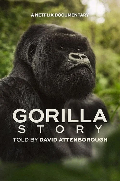 Xem phim Hành Trình Của Khỉ Đột – Qua Giọng Kể David Attenborough - GoGoPhim